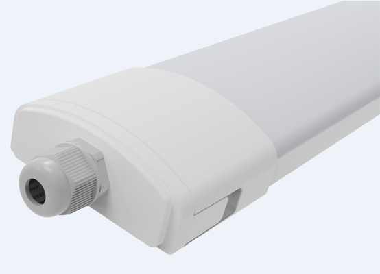 D2.5 LED Triproof Aydınlatma Süspansiyon Duvar Montajı Yüksek İnce ve Toka Uç Kapağı Tasarımı, İşçilik Maliyetinden Tasarruf İçin