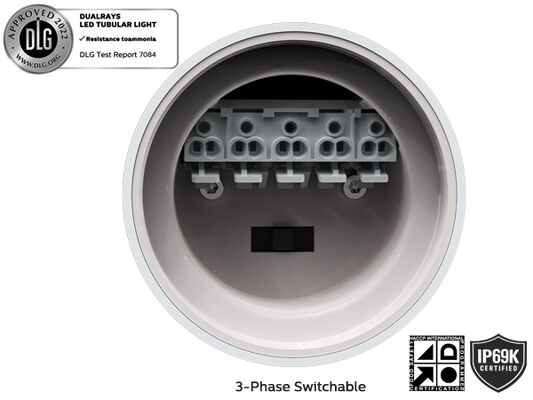 IP69K IP66 TB7 Süper LED Boru Tipi Lamba, DIP Anahtarlı Güç/3CCT/3 fazlı 160LPW Verimlilik