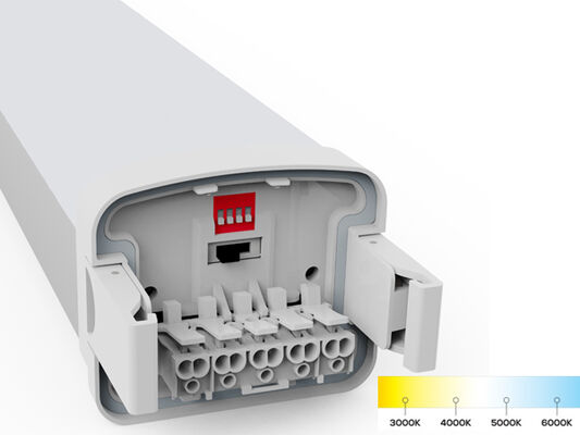 D5 LED Nem geçirmez Işık DIP Değişilebilir Güç ve 3CCT ile 3/5*1.5/2.5mm2 Kablolama Seçeneği