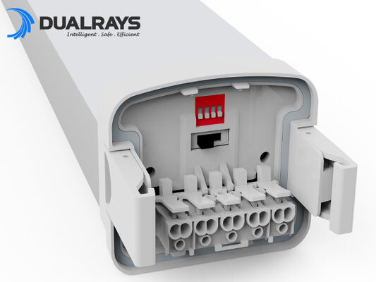 DUALRAYS D5 LED Nem Geçirmez Lamba, DIP Anahtarlı Güç/3CCT ve kablo geçişli