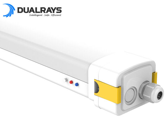 DUALRAYS Avrupa Stoklama LED Yüksek Tavan Işığı Doğrudan Hollanda'dan 3 İş Günü İçinde Gönderilir ve Yerel Satış Sonrası Servis