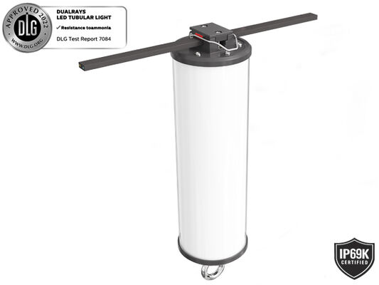 IP67 koruması ve denizcilik ve inşaat için 5 yıllık garanti ile 15W LED taşınabilir iş ışığı