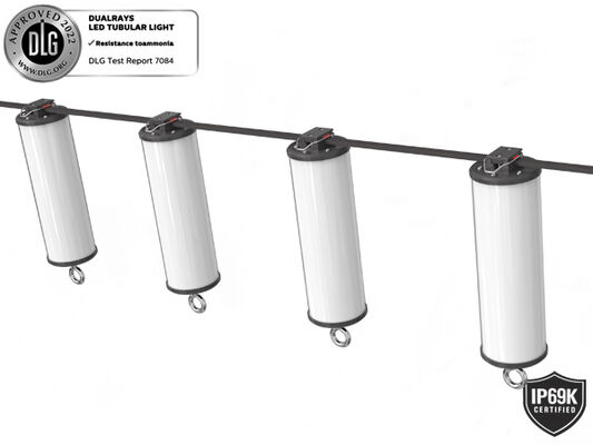 Dualrays D2 Serisi 50W Dış Mekan ve İç Mekan LED Tri Proof LED Çıta Işık 160LMW 5ft Uzun