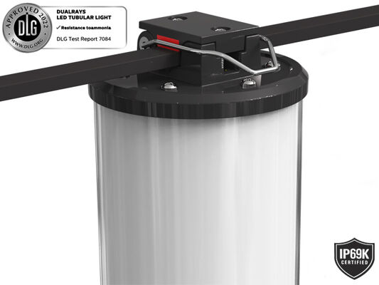 IP67 koruması ve denizcilik ve inşaat için 5 yıllık garanti ile 15W LED taşınabilir iş ışığı