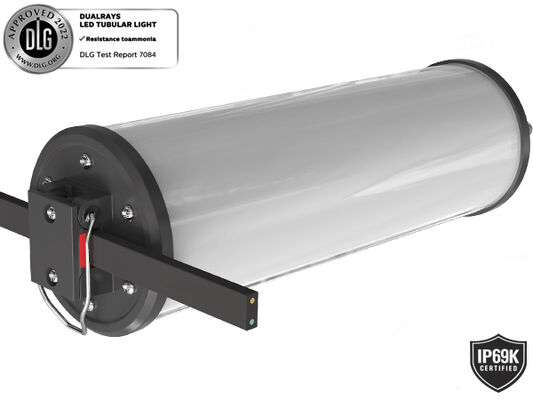 Deniz ve geçici aydınlatma için 15W IP66/IP69K 140lm/W LED taşınabilir iş ışığı