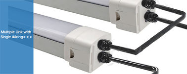 DUALRAYS D5 LED Tri Proof Işık 4ft 40W 160LPW Verimlilik 0-10V DALI Karartma