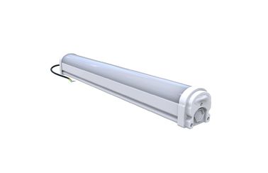 Dualrays D2 Serisi 20W Arcrylic Cover LED Tri Proof Light IP66 Atölye için LED Tüp Işıkları