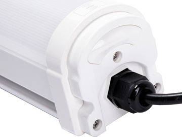Dualrays D2 Serisi 20W Arcrylic Cover LED Tri Proof Light IP66 Atölye için LED Tüp Işıkları
