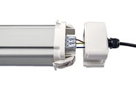 Dualrays D5 50W 5 ft Epistar Led Üç Korumalı Işık IP66 IK10 LED Patlama Korumalı Işıklar 160lmw Verimlilik