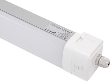 Dualrays D5 Serisi 50w 5ft Ip66 Ik10 Tri Proof LED Işık 160lmw 5 Yıl Garantili 50000hrs Uzun Ömürlü