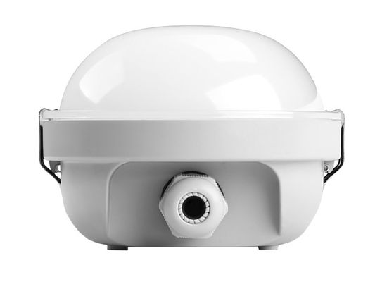 Dualrays D2.5 160LmW 30W 5ft Led Buhar Geçirmez Işık Sıva Üstü