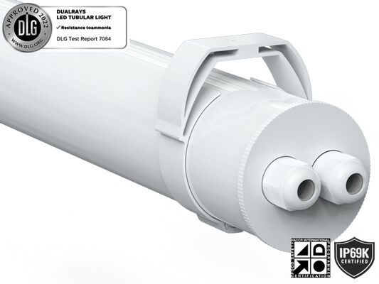 IP69 Led Tri Proof Işık BOKE Sürücüsü 50W 130LPW SMD2835 Çiftlik İçin LED Aydınlatma
