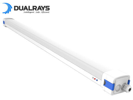 5ft/62W D5 LED Neme Dayanıklı Işık, DIP Değiştirilebilir Güç/3CCT 160LPW Verimlilik 5 Yıl Garanti